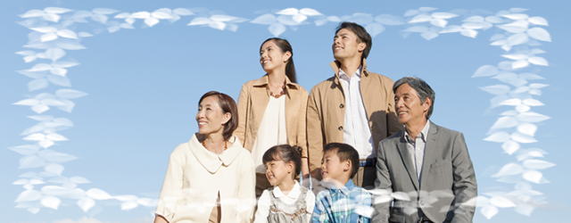 �D�y�Ŗ@�葊�����ؖ��Ȃ�